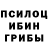 Псилоцибиновые грибы GOLDEN TEACHER Sergei Olegovich