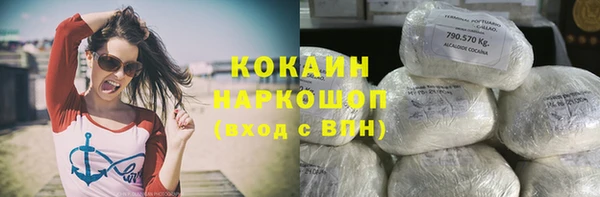 твердый Алзамай