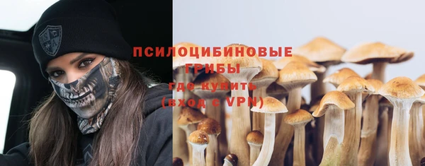 ПСИЛОЦИБИНОВЫЕ ГРИБЫ Алексин