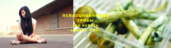 твердый Алзамай