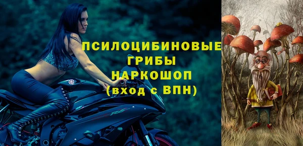 ПСИЛОЦИБИНОВЫЕ ГРИБЫ Алексин