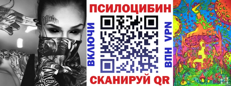 Псилоцибиновые грибы Psilocybe  ссылка на мегу ссылка  Салехард 